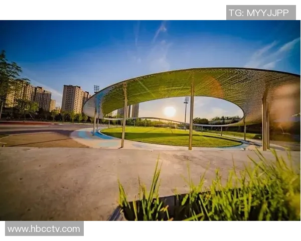 南京网球队转型之路揭秘：从传统强队到现代化竞技新标杆