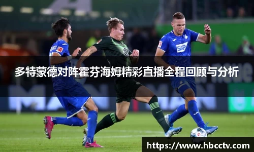 im电竞官网