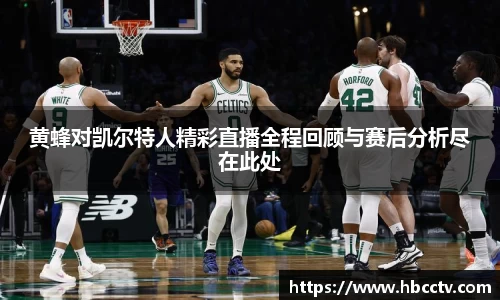 黄蜂对凯尔特人精彩直播全程回顾与赛后分析尽在此处