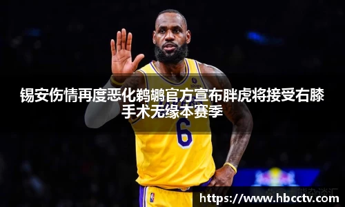im电竞官网